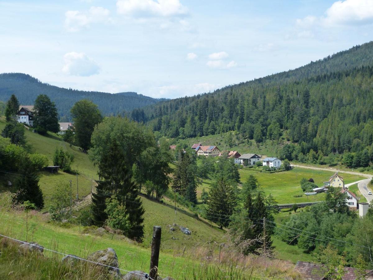 Ferienwohnung Haus Wiesengrund Forbach Εξωτερικό φωτογραφία